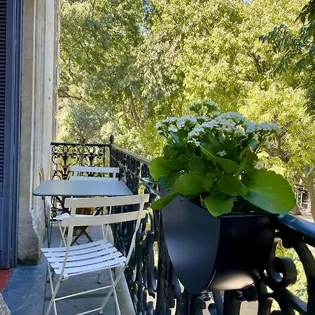 Apartamento , Renove Dans Immeuble Classe.